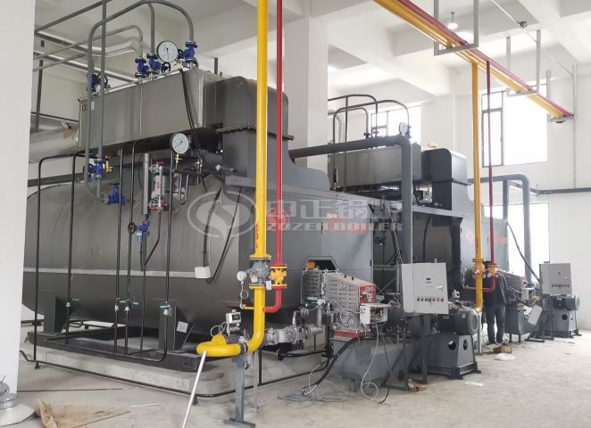 ZOZEN LPG Gas Steam Boiler