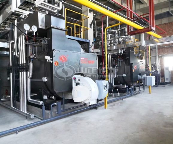 ZOZEN Lpg Fired Steam Boiler