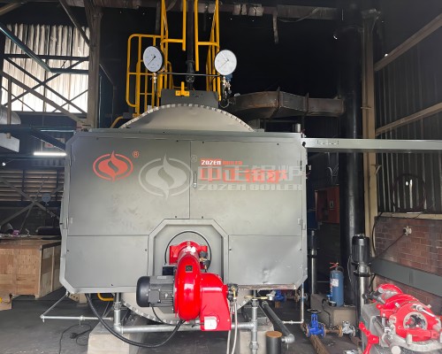 2 TPH Gas Fired Steam Boiler in Wine-Making Industry