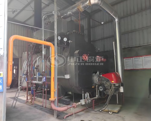 4 TPH Gas Fired Steam Boiler for Feed Industry