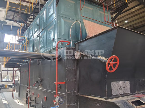 6 Tph Chain Grate Biomass Steam Boiler for Papermaking Industry