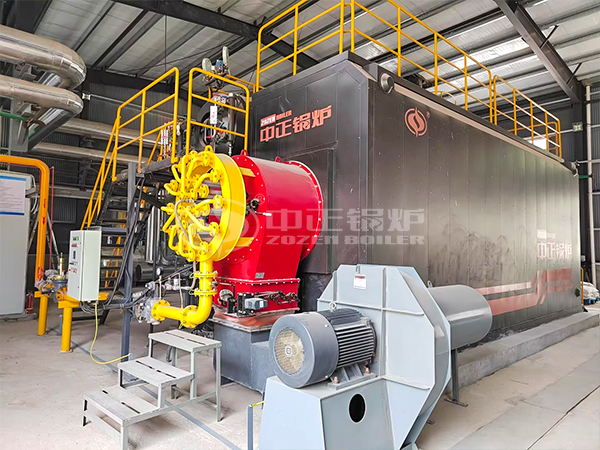 20 Tph Gas Fired Steam Boiler for Lithium Carbonate Industry