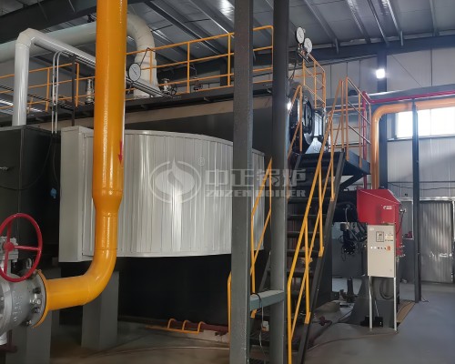 ZOZEN 20 Ton Steam Boiler for Global Pigment Industry