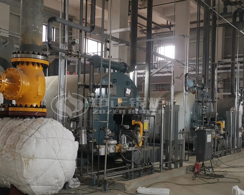 ZOZEN 8 Million Kcal Gas Fired Thermal Oil Heaters for Chemical Industry