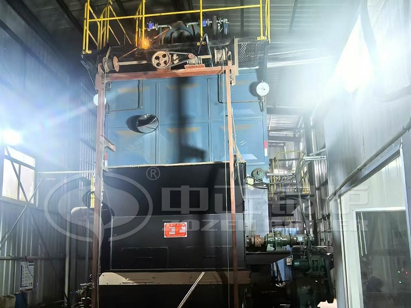 ZOZEN 8 TPH Biomass Chain Grate Steam Boiler for Food Industry