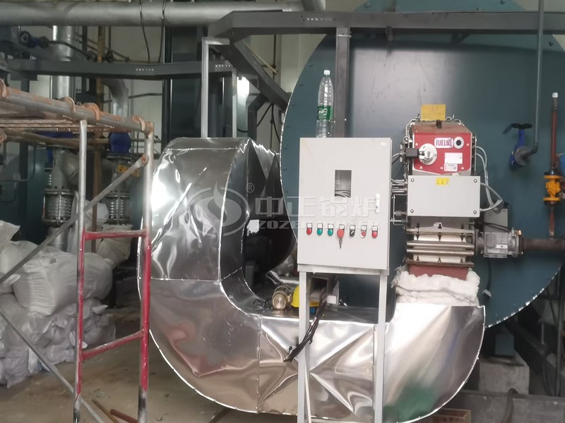 3 Million Kcal Gas Thermal Oil Heater for Chemical Industry