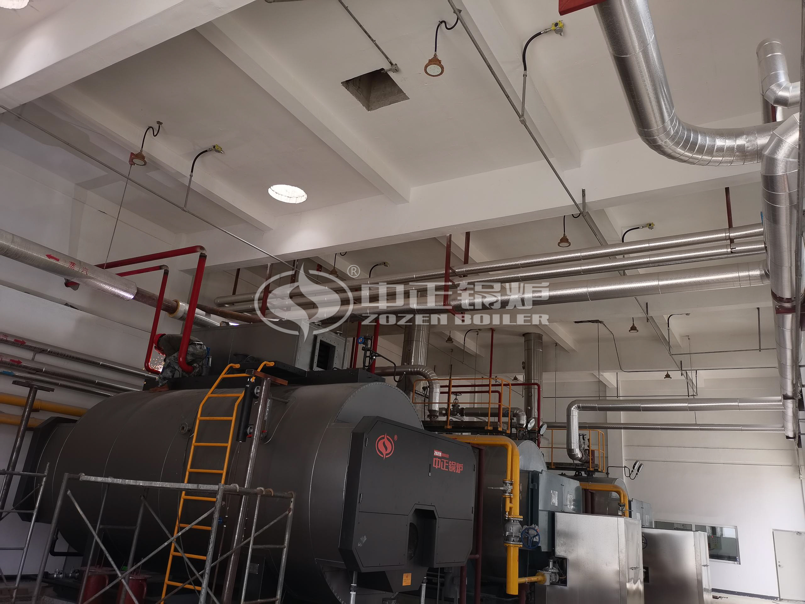 WNS Series Condensing Oil Boiler